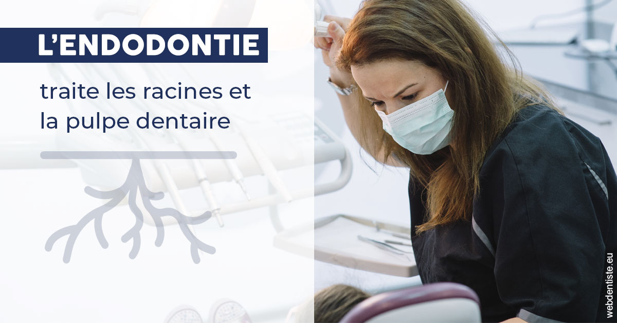 https://dr-lenouvel-isabelle.chirurgiens-dentistes.fr/L'endodontie 1