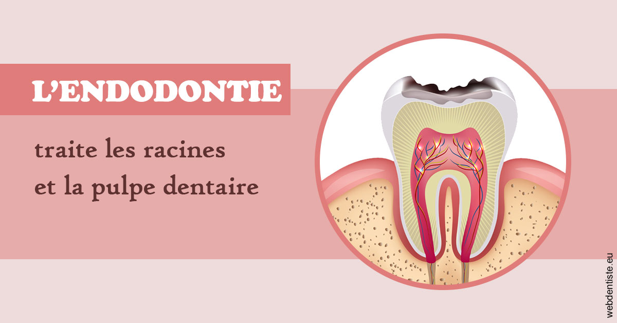 https://dr-lenouvel-isabelle.chirurgiens-dentistes.fr/L'endodontie 2