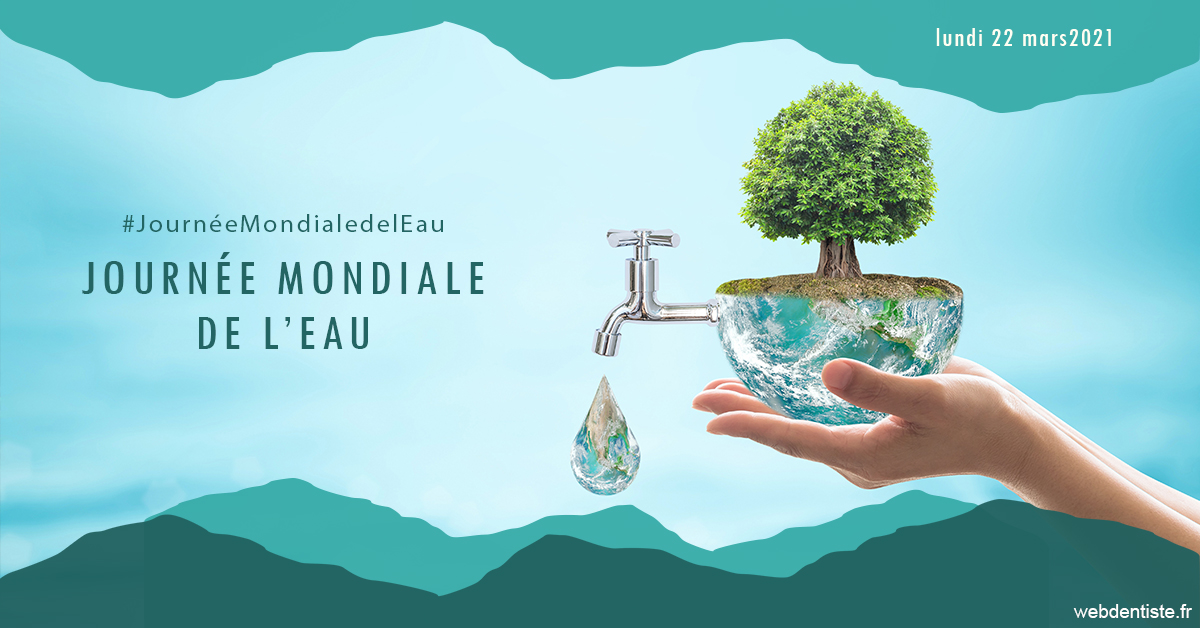 https://dr-lenouvel-isabelle.chirurgiens-dentistes.fr/Journée de l'eau 1