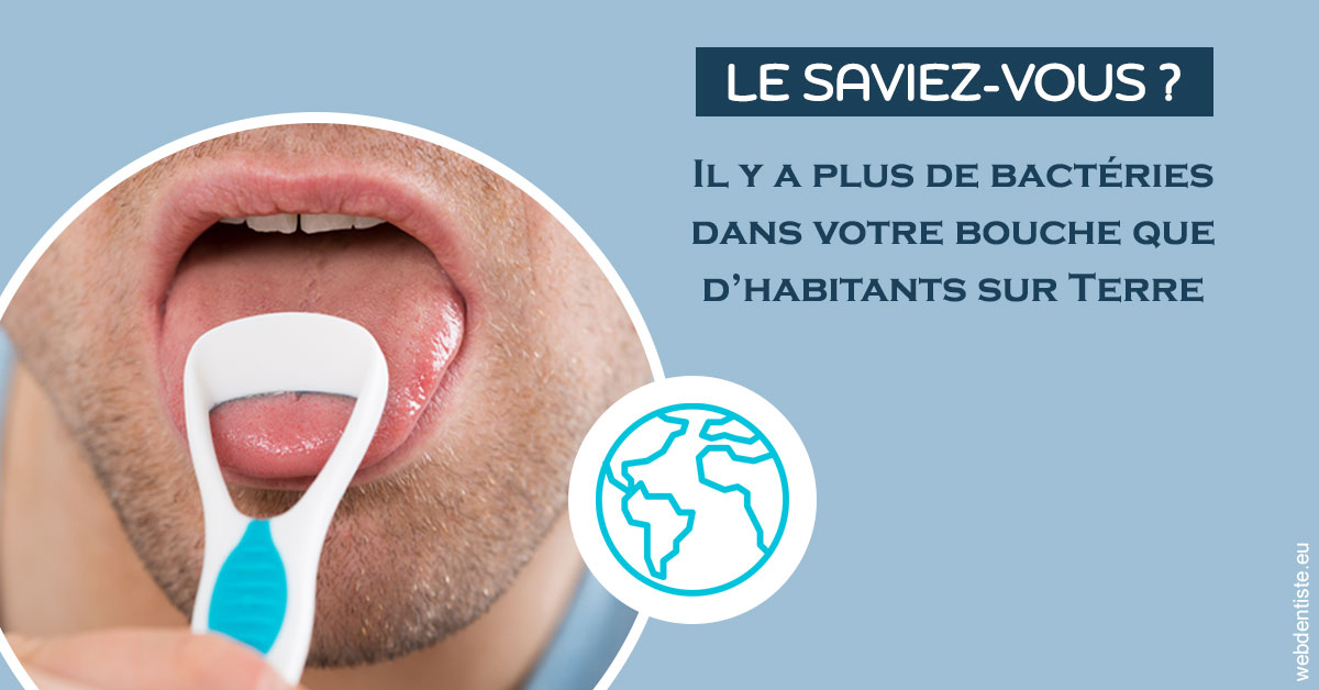 https://dr-lenouvel-isabelle.chirurgiens-dentistes.fr/Bactéries dans votre bouche 2